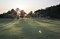 Mountainous landscape
