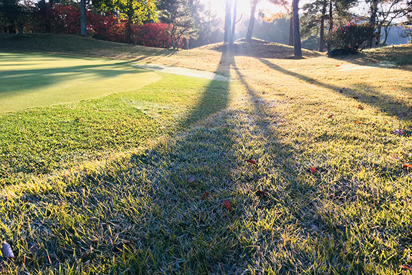 オンライン予約